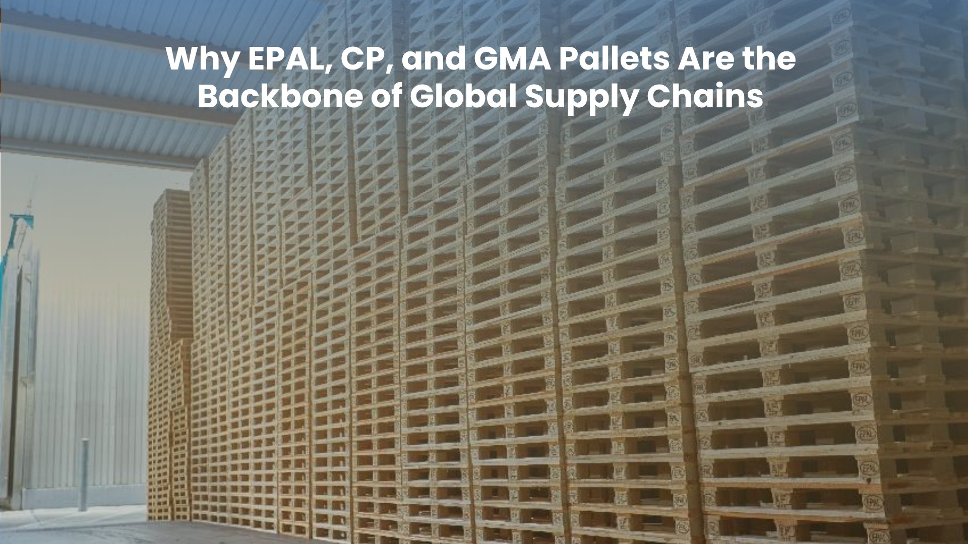 Why EPAL, CP, and GMA Pallets Are the Backbone of Global Supply Chains