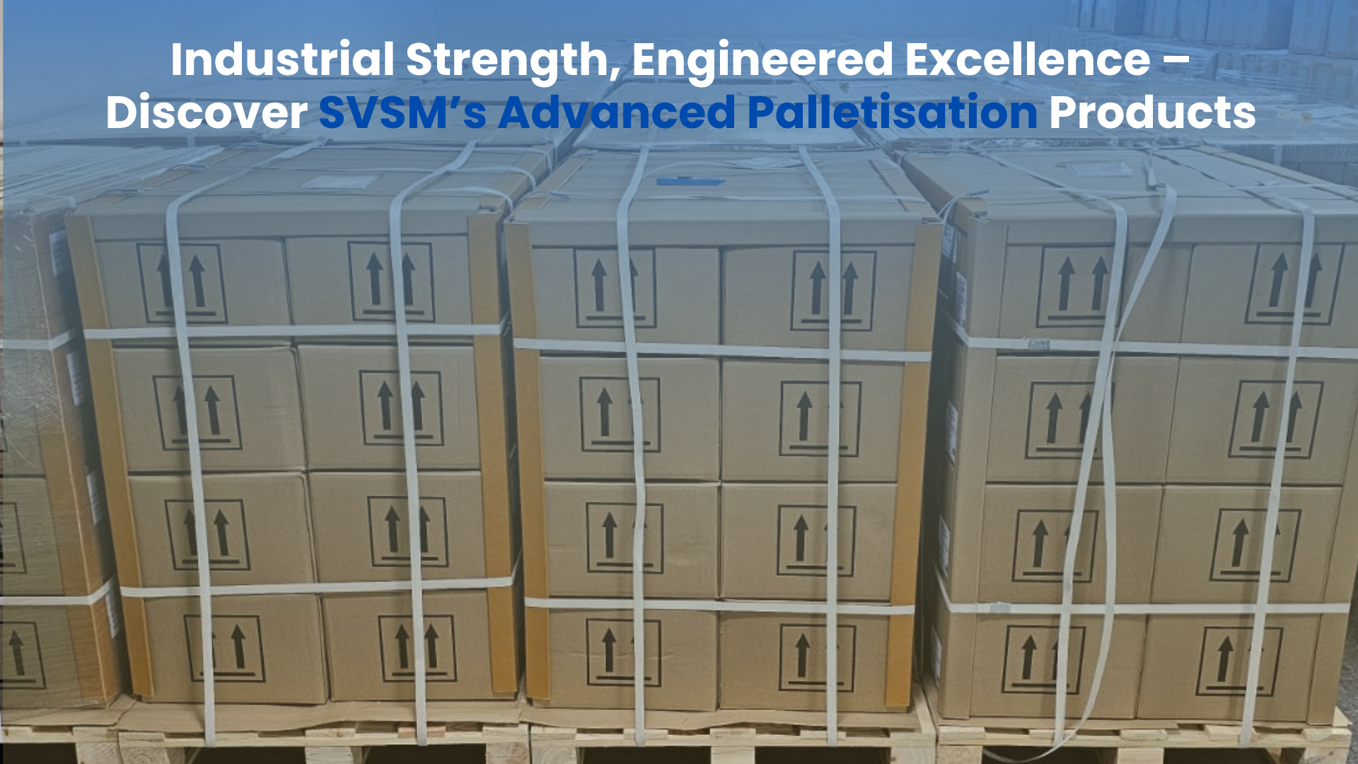 Industrial Strength, Engineered Excellence – Discover SVSM’s Advanced Palletisation Products
